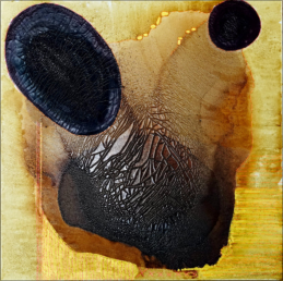 Fotoworkshop Stuttgart